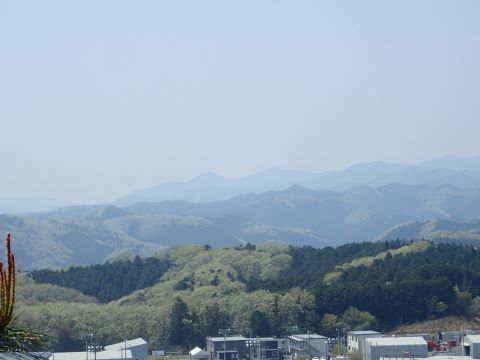 4月龍崖山1050富士山P4127286.JPG