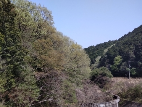4月龍崖山1142公園DSC_1467 (002).JPG