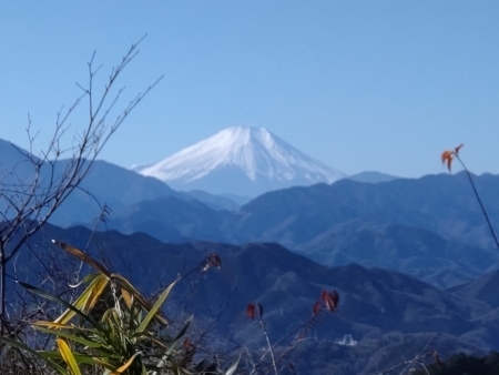 DSC_1269 (002) 富士山　もみじ台から.jpg