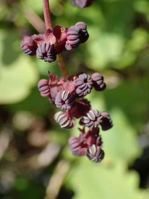 ~coAPrYP4150851.JPG