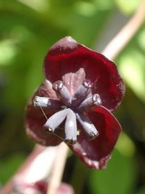 ~coAPrP4150854.JPG