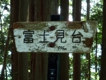 城山川 富士見台小P5198276.JPG
