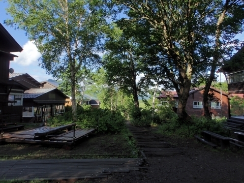   R P7139921.JPG