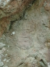 浅間嶺 猿岩P6028778.JPG