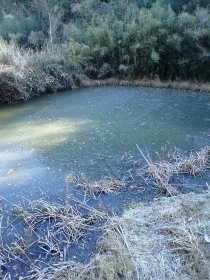 P1092595 凍った池s.JPG