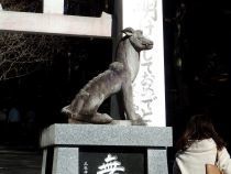 P1094978秩父 三峯神社 狛犬s.JPG