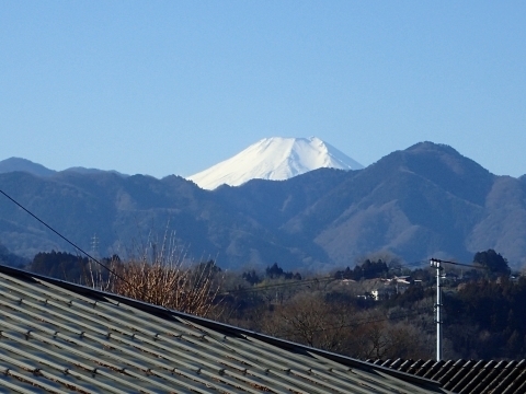 P1229906 xmRm.JPG