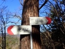 P1229911 Ws.JPG