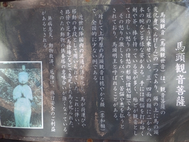 P1229913 nω m.JPG