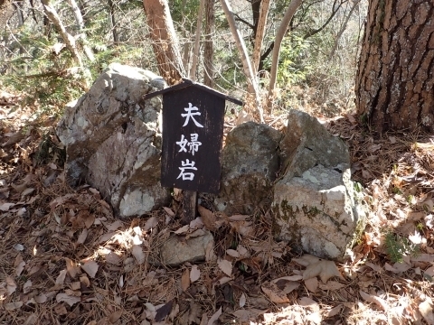 P1229915 vwm.JPG