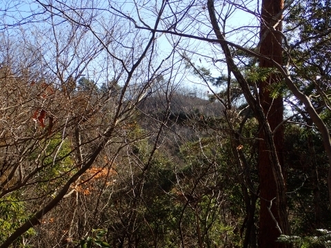 P1229916 \xHm.JPG