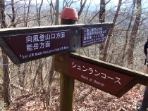 P1229935 Ws.JPG