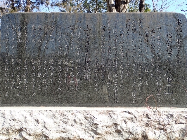 P1229938 zd̔ml.JPG