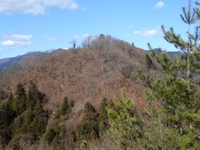 P1229953 dRW]蔪dRml.JPG