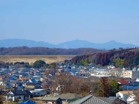 P2173074 炵̋u@RX̕im.jpg