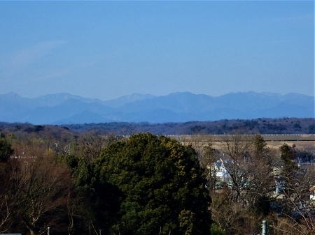 P2173075 炵̋u@RX̕im.jpg