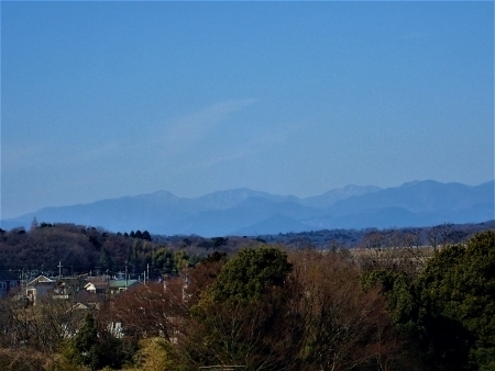 P2173078 炵̋u@RX̕im.jpg