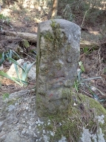 P2260258 ΘVR ΕWs.JPG