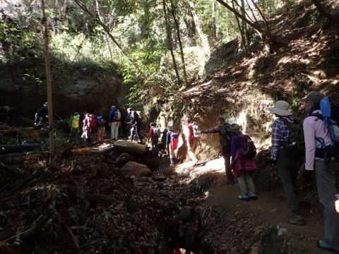 P2260259 ΘVRm.JPG