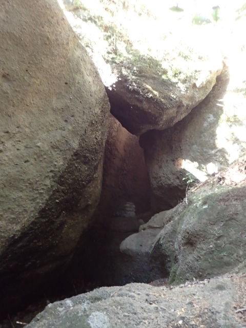 P2260261 sm.JPG