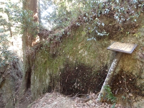 P2260264 m.JPG