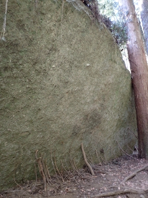 P2260267  ΘVR m.JPG