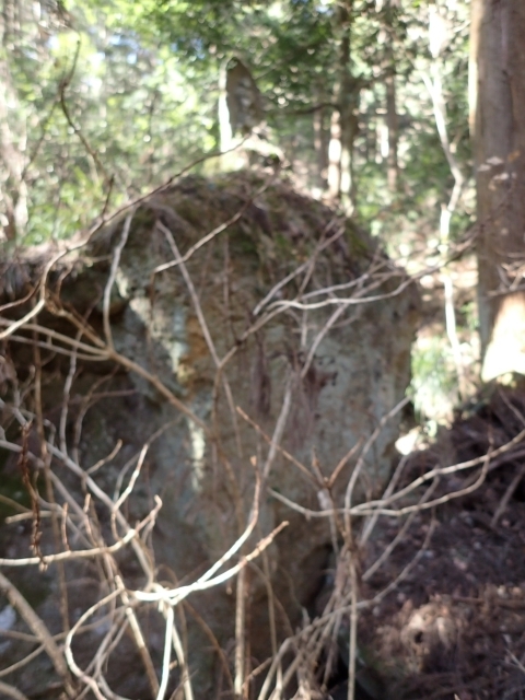 P2260268  ΘVR m.JPG