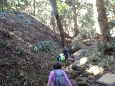 P2260270  ΘVR ̒sm.JPG