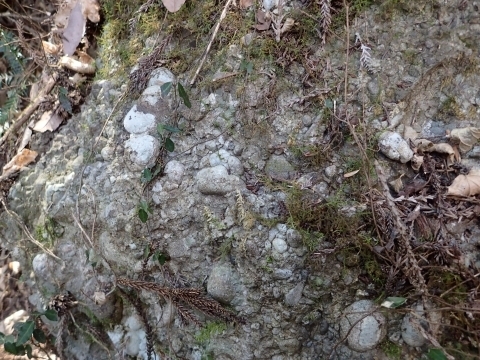 P2260272  ΘVR Ȋm.JPG