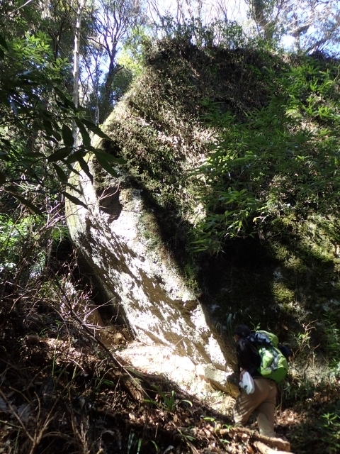 P2260274  ΘVR m.JPG