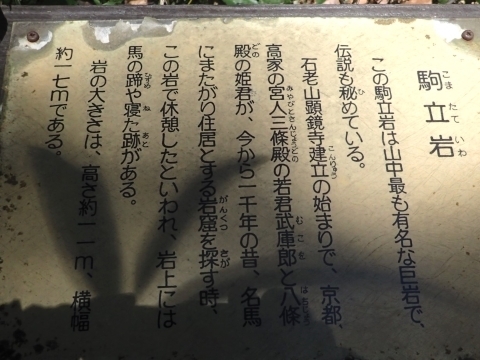 P2260279  ΘVR m.JPG