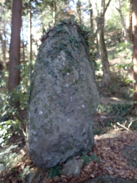 P2260280 m.JPG