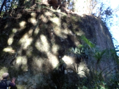 P2260281  ΘVR m.JPG