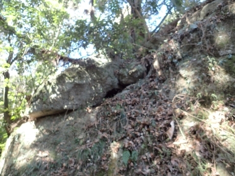 P2260284  ΘVR m.JPG