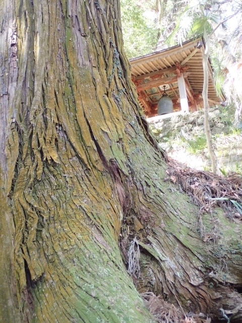 P2260290 ֖ؐm.JPG