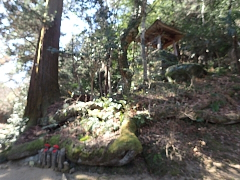 P2260292 ֖ؐm.JPG