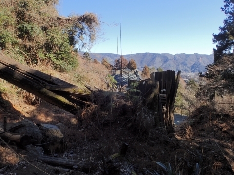 P2260309 |m.JPG