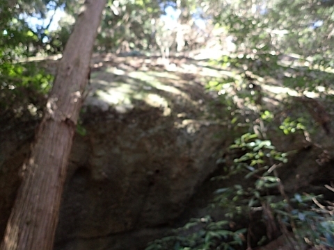 P2260314 Hm.JPG