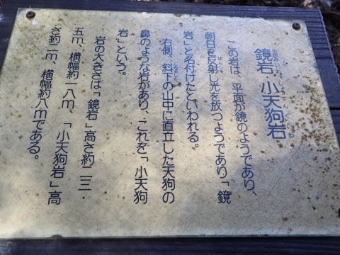 P2260315 EVm.JPG