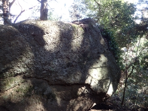 P2260321 ٌcm.JPG