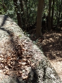 P2260331 Hs.JPG
