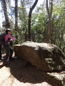 P2260332 ^Is.JPG