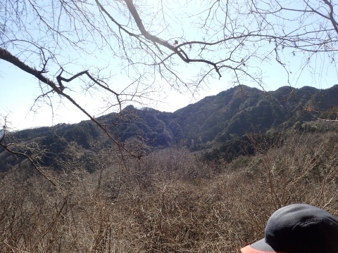 P2260333 ₩̒m.JPG