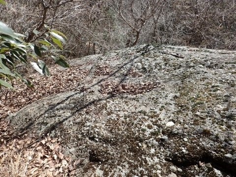P2260334 ΘVR  m.JPG