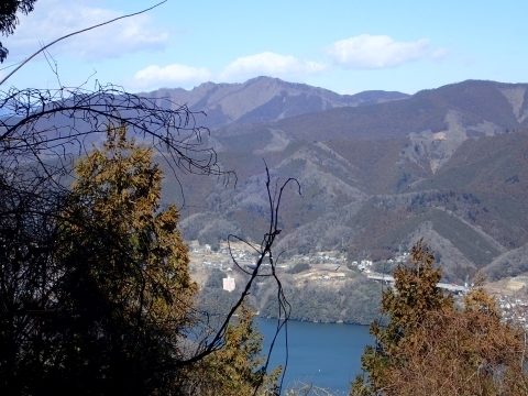 P2260337 Z䂩瑊͌m.JPG
