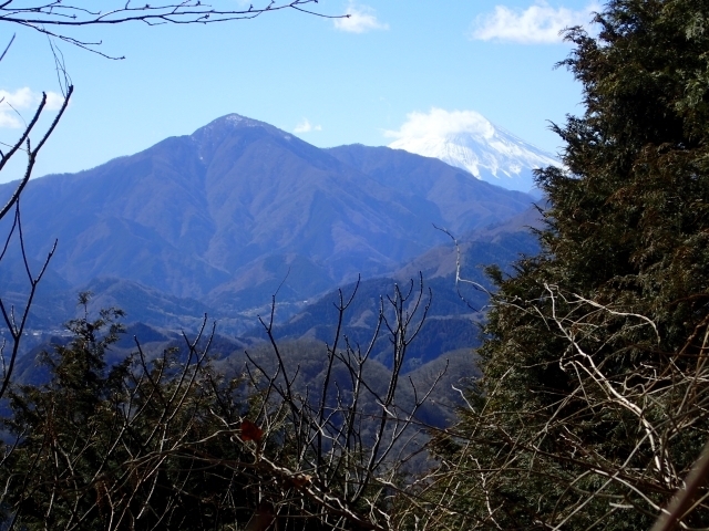 P2260351 ΘVRxmRml.JPG