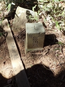 P2260352 ΘVR@Op_s.JPG