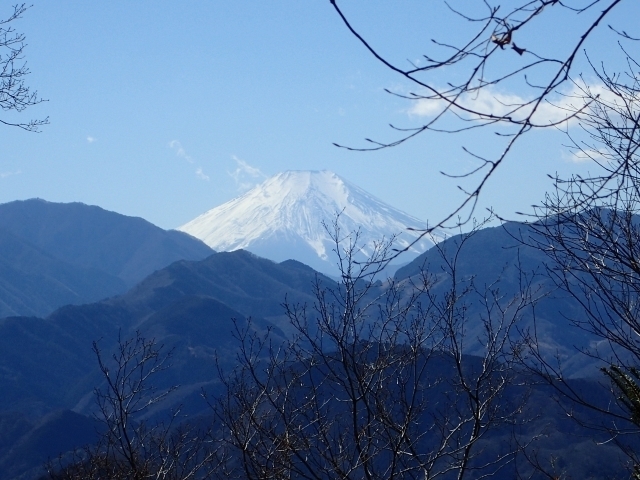 P2260360 ̕xmRml.JPG