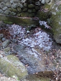 P2260374 A̕Xs.JPG