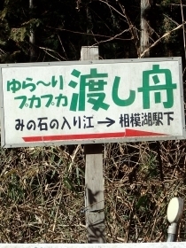 P2260375 nD̊Ŕs.JPG